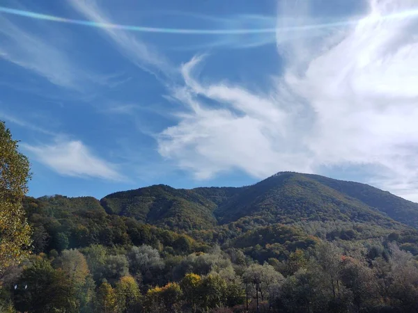 Árvores Caminhos Floresta Eslováquia — Fotografia de Stock