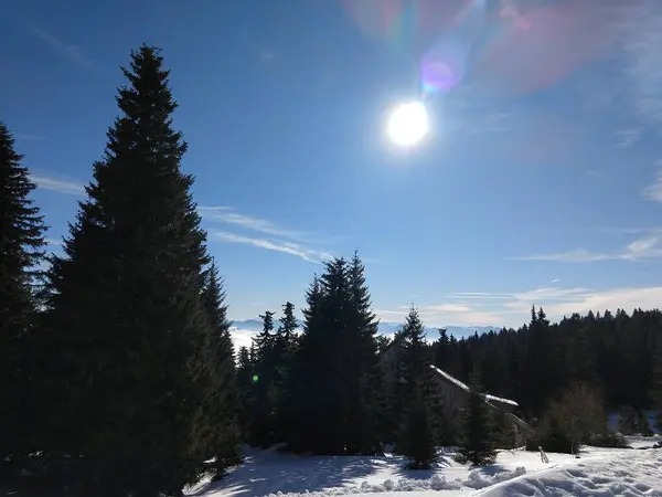 Solnedgång Äng Med Snö Vintern Slovakien — Stockfoto