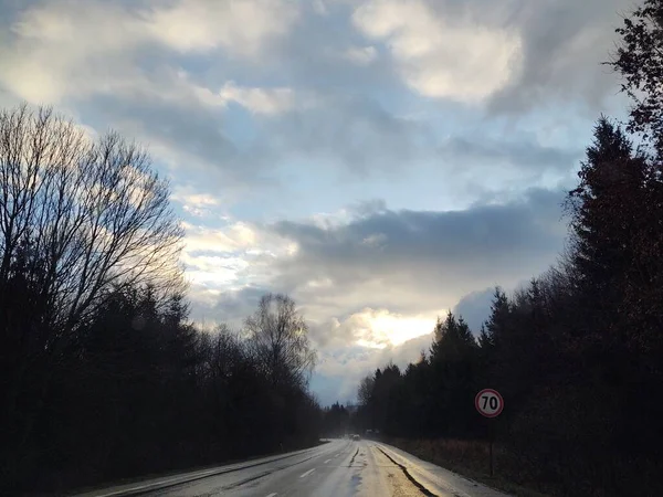 Magic Trees Forest Sunny Day Slovakia — Φωτογραφία Αρχείου