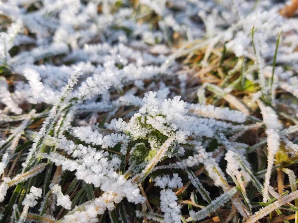 Kilátás Hegyekre Télen — Stock Fotó