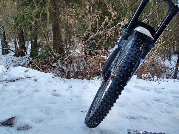 冬季公路上的自行车轮胎 — 图库照片
