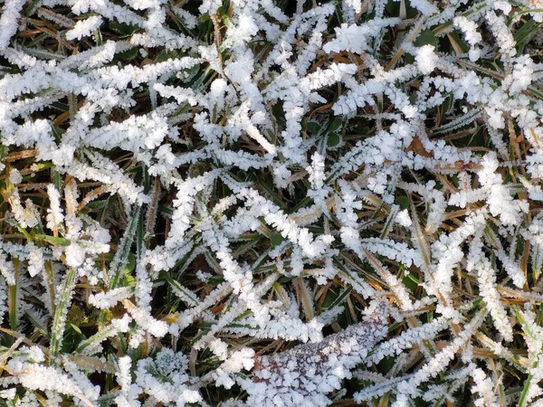 Vista Das Montanhas Inverno — Fotografia de Stock