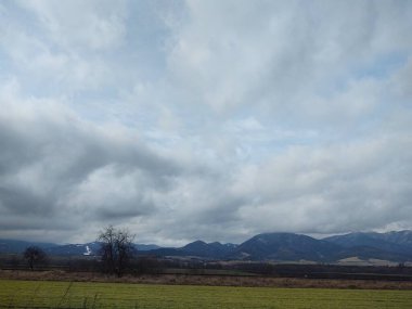 Ağaçlar ve manzaralı çayırda puslu bir sabah. Slovakya