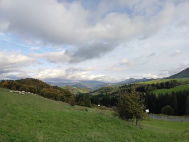 Ağaçları ve dağları olan bir çayır. Slovakya