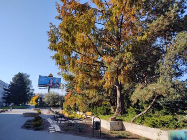 Güzel şehir parkı manzarası