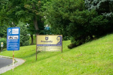 Yaz günü şehir parkı manzarası