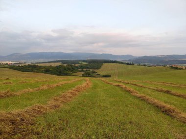 Ağaçları ve dağları olan bir çayır. Slovakya