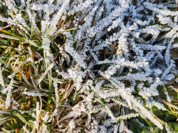 Vista Las Montañas Invierno —  Fotos de Stock