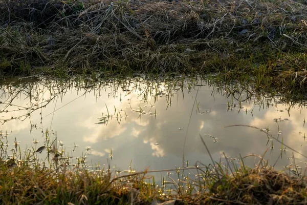 Puddle on road during rain. Slovakia