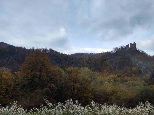 Árvores Outono Floresta Eslováquia — Fotografia de Stock