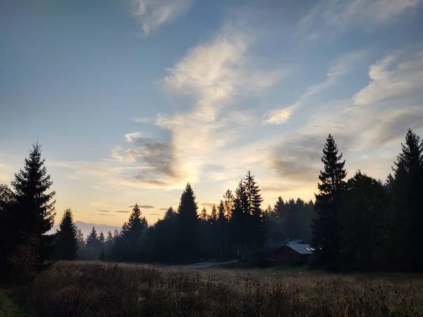 Magisch Bos Mist Slowakije — Stockfoto