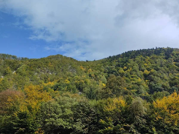 Pohled Karpatské Hory Denní Čas Výstřel — Stock fotografie