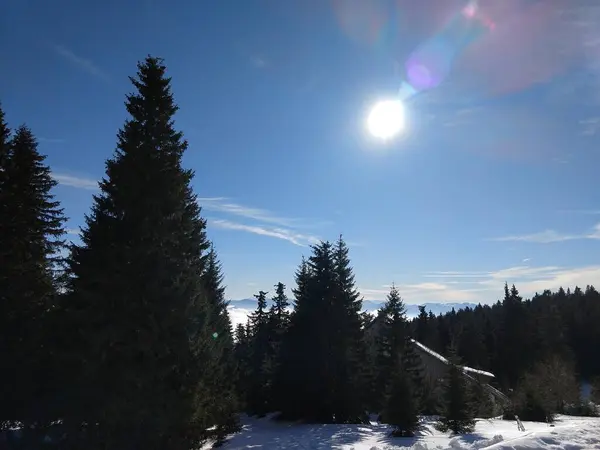 Solnedgång Äng Med Snö Vintern Slovakien — Stockfoto