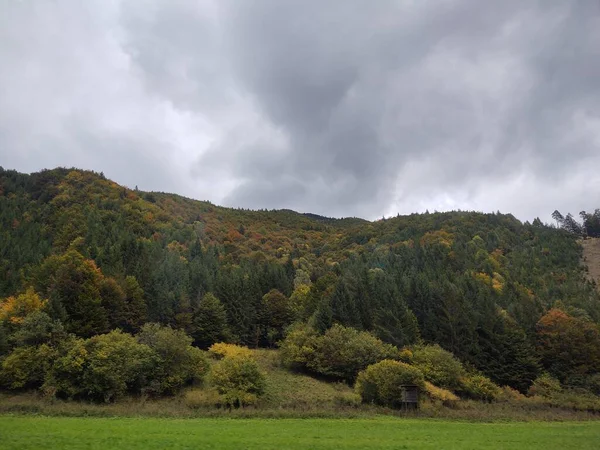 Äng Med Träd Och Utsikt Över Bergen Slovakien — Stockfoto