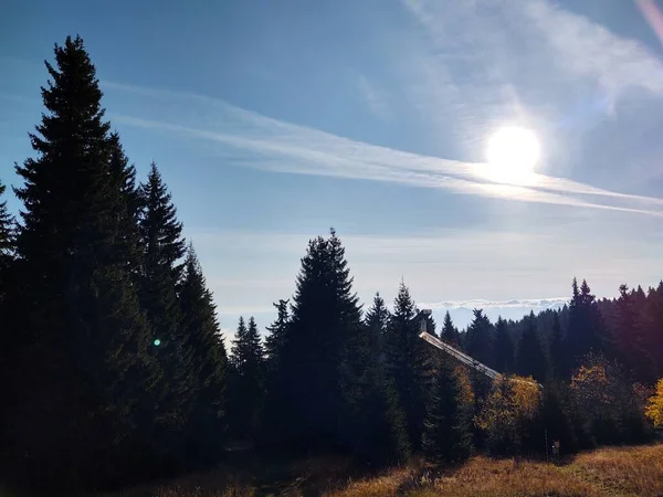 Jesienne Drzewa Lesie Słowacja — Zdjęcie stockowe