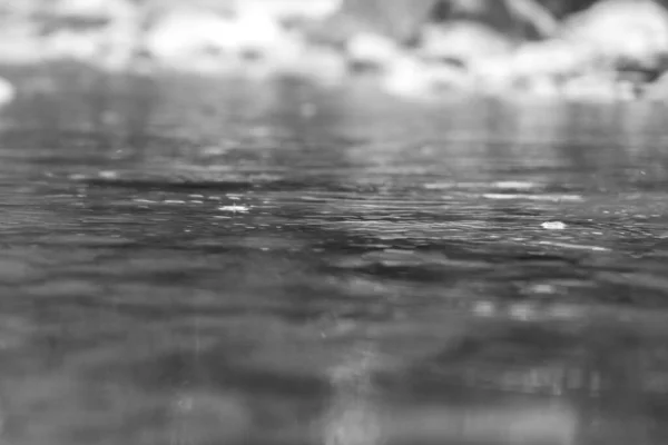 Lago Nella Natura Primaverile Slovacchia — Foto Stock