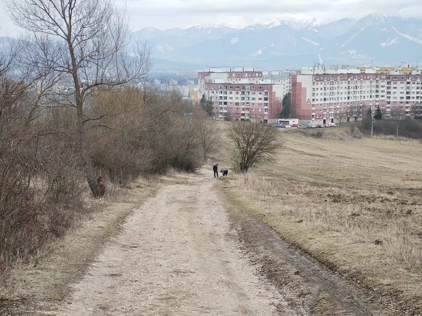 Avrupa Şehrinde Gün Batımı Zamanı — Stok fotoğraf