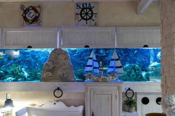 Nahaufnahme Eines Aquariums Mit Fischen — Stockfoto