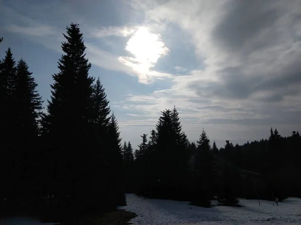 Zonsondergang Weide Met Bomen Winter Slowakije — Stockfoto