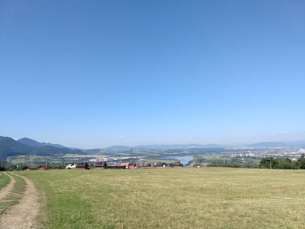 Mooie Ochtend Weide Met Bomen Uitzicht Slowakije — Stockfoto