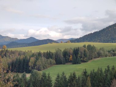 Ağaçları ve dağları olan bir çayır. Slovakya