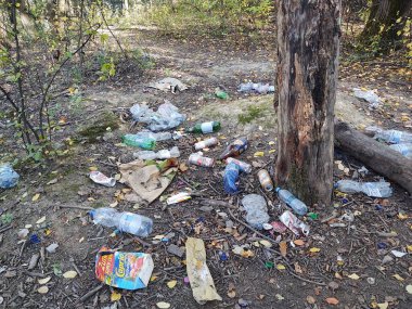 Plastik çöp ve sonbahar yaprakları