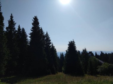 Karpat dağlarının gündüz görüntüsü