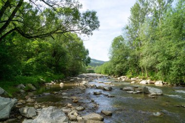 Bahar doğasında göl. Slovakya