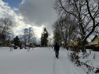 Arka planda güzel bir kış köyü