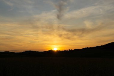 Gün batımında tarlanın güzel manzarası