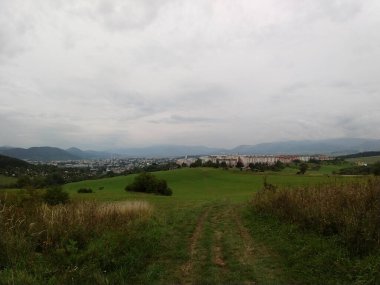 Ağaçlı yeşil çayır ve arka planda dağ