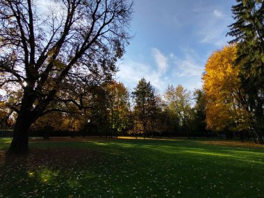 Arka planda güzel bir sonbahar parkı