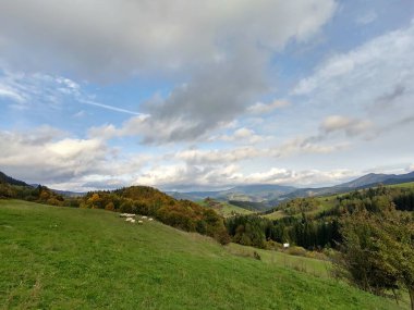 Ağaçları ve dağları olan bir çayır. Slovakya