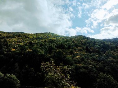 Karpat dağlarının gündüz görüntüsü