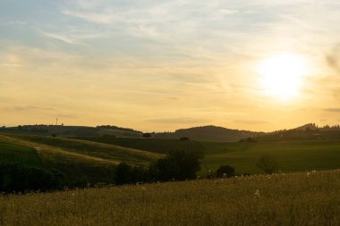Gün batımında güzel bir buğday tarlası manzarası