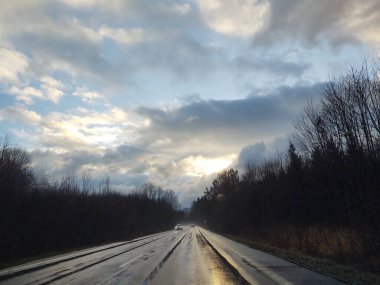 Güneşli bir günde ormanda sihirli ağaçlar. Slovakya