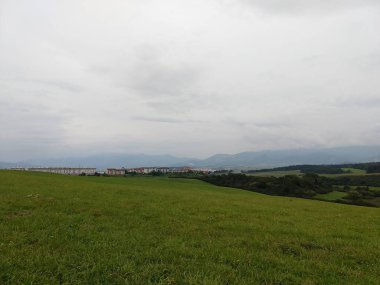 Ağaçlı yeşil çayır ve arka planda dağ