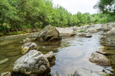 Bahar doğasında göl. Slovakya