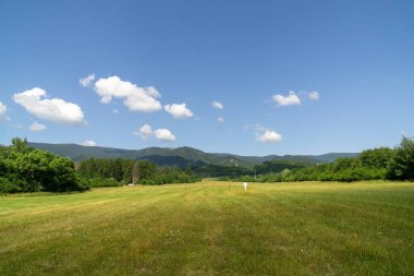 Yeşil dağ çayırı manzarası