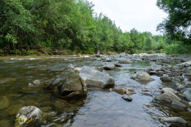 Bahar doğasında göl. Slovakya