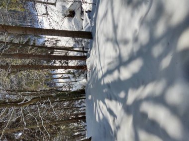 DAVOS 'ta güzel kış karlı patikası, SWitzERLAND İsviçre Alpleri.