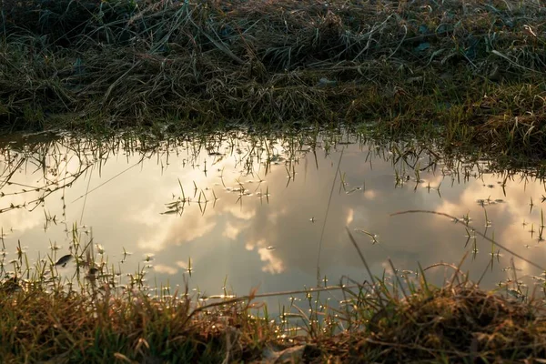 stock image Puddle on road during rain. Slovakia