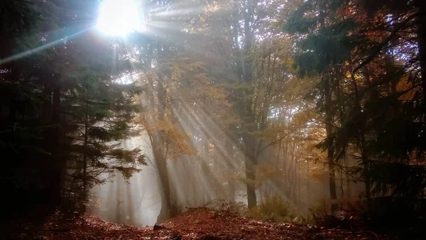 Schöne Naturlandschaft Der Slowakei — Stockfoto