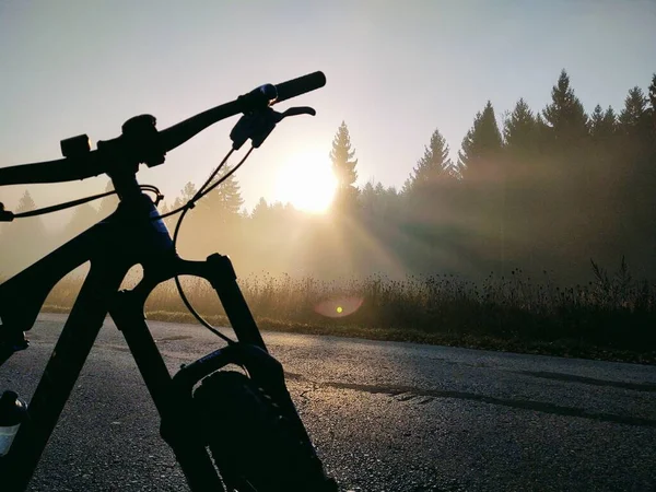 Mountainbike Naturen Slovakien — Stockfoto