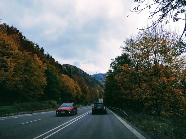 Podzimní Krajina Horskou Cestou Stromy — Stock fotografie