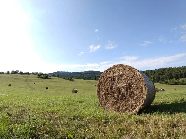 Hay bales on the meadow during autumn. Slovakia