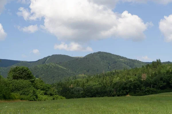 Zelená Horská Louka — Stock fotografie