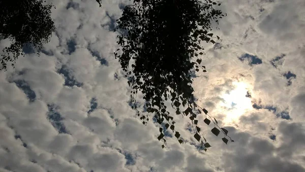 Живописный Вид Голубое Облачное Небо Солнечным Светом — стоковое фото