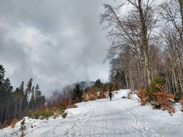 Kilátás Hegyekre Télen — Stock Fotó