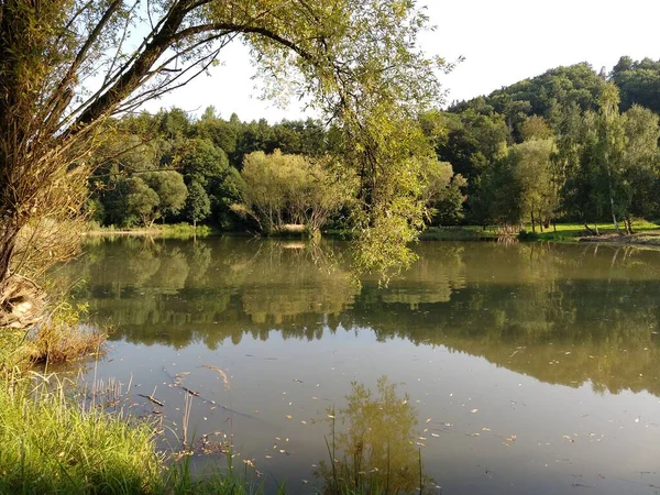 Bellissimo Lago Sullo Sfondo Della Natura — Foto Stock